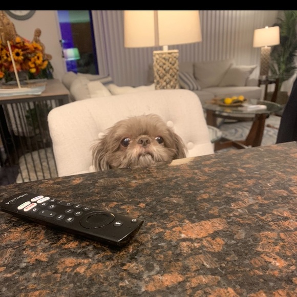 Meet your Posher, Anne - Picture 1 of 1